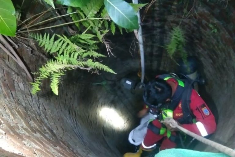 Damkar Salatiga Turun ke Sumur 10 Meter Demi Selamatkan Kucing